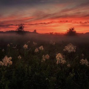 91成人免费视频观看
